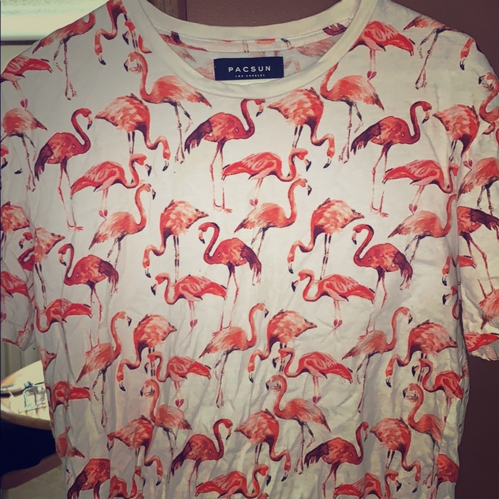 Pacsun Graphic Tee